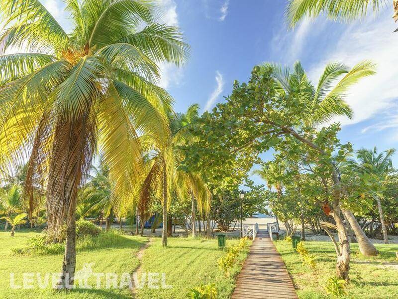 Фотография Memories Trinidad