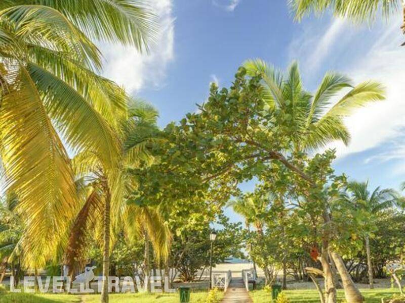 Фотография Memories Trinidad