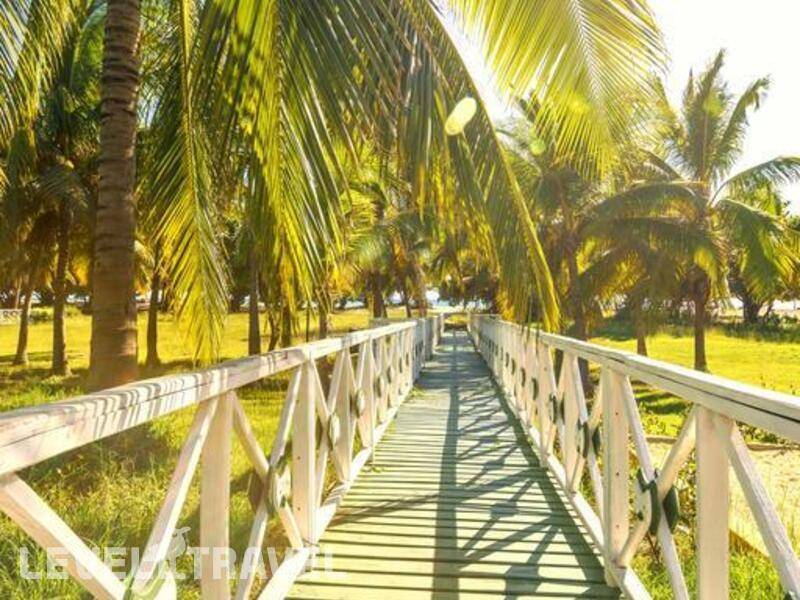 Фотография Memories Trinidad