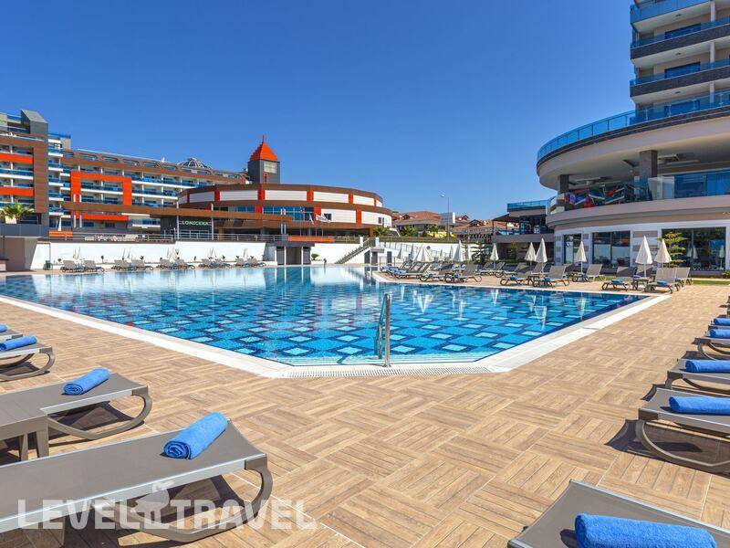 Фотография Lonicera Premium