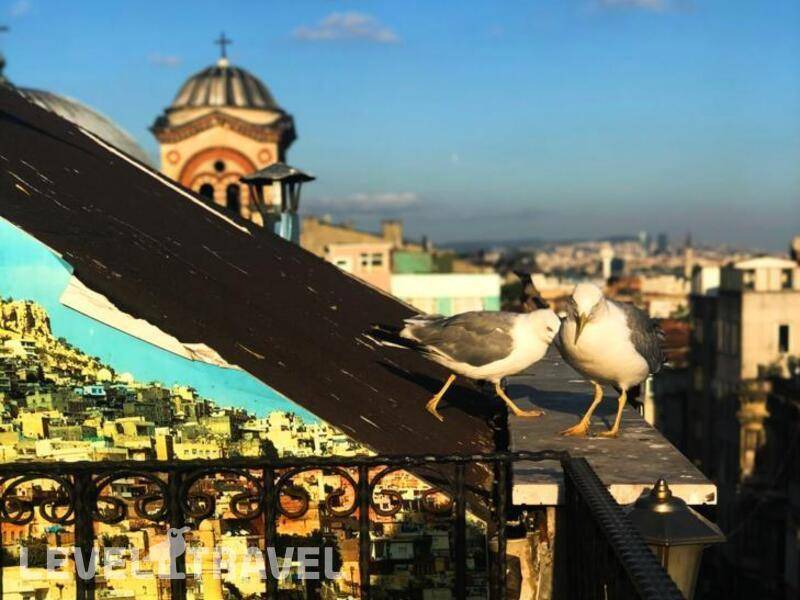 Фотография Loor Hotel