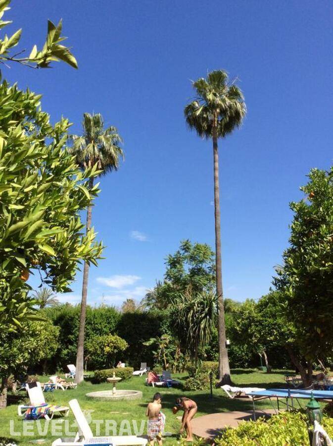 фотографии отеля Chems в Марокко(Марракеш) - фото №21