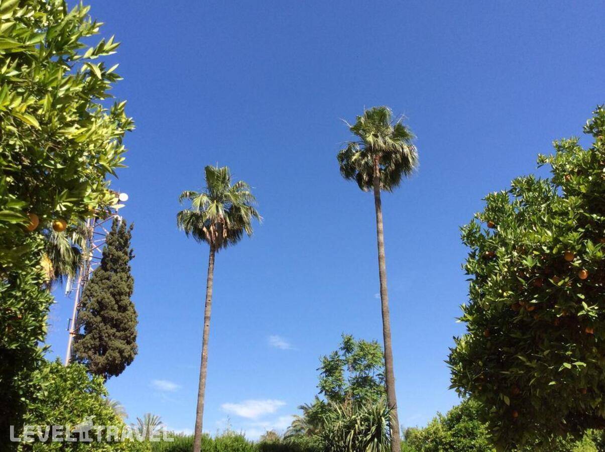 фотографии отеля Chems в Марокко(Марракеш) - фото №19