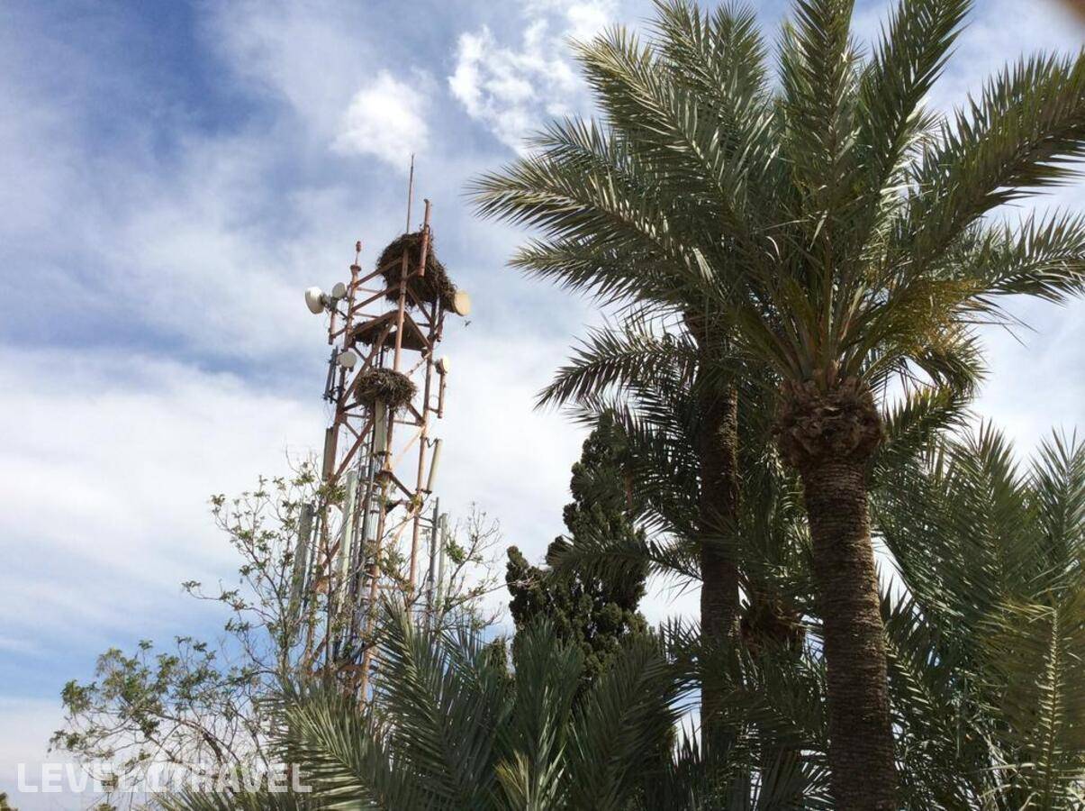 фотографии отеля Chems в Марокко(Марракеш) - фото №5