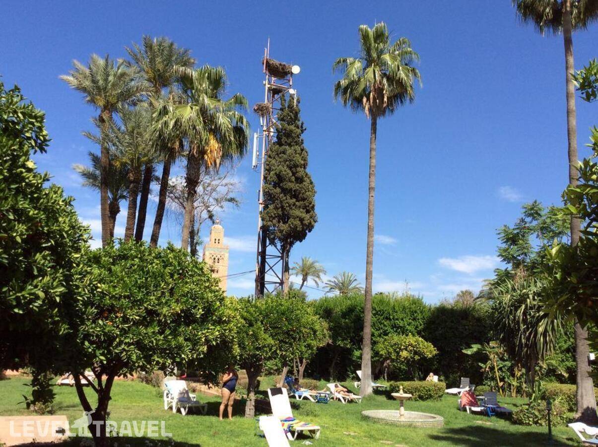 фотографии отеля Chems в Марокко(Марракеш) - фото №24