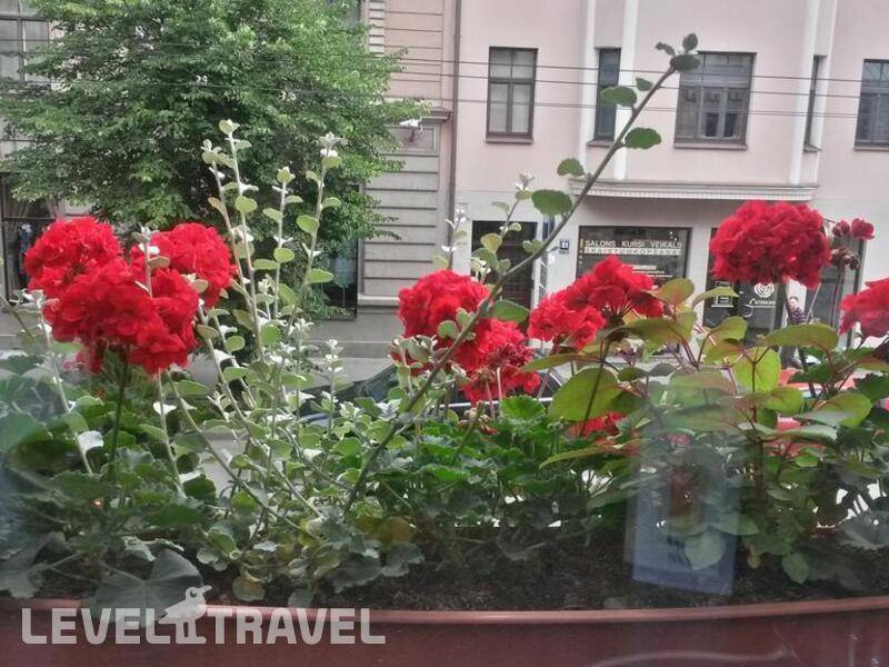 Фотография A1 Hotel