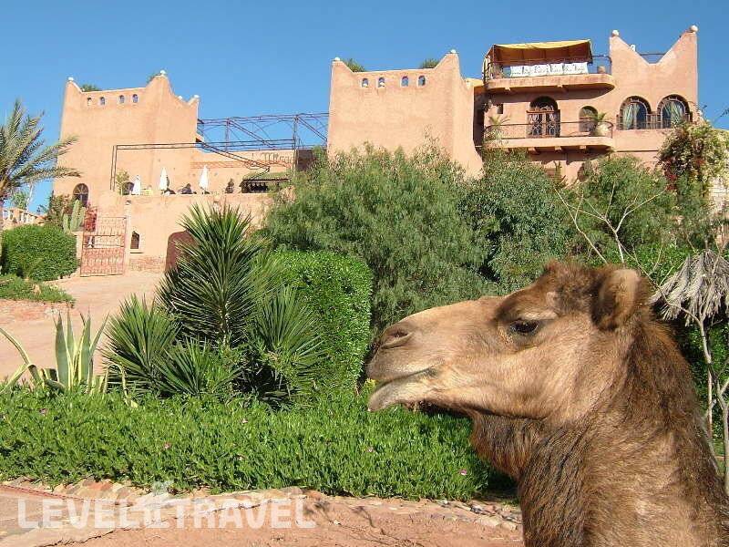 Фотография Kasbah Le Mirage