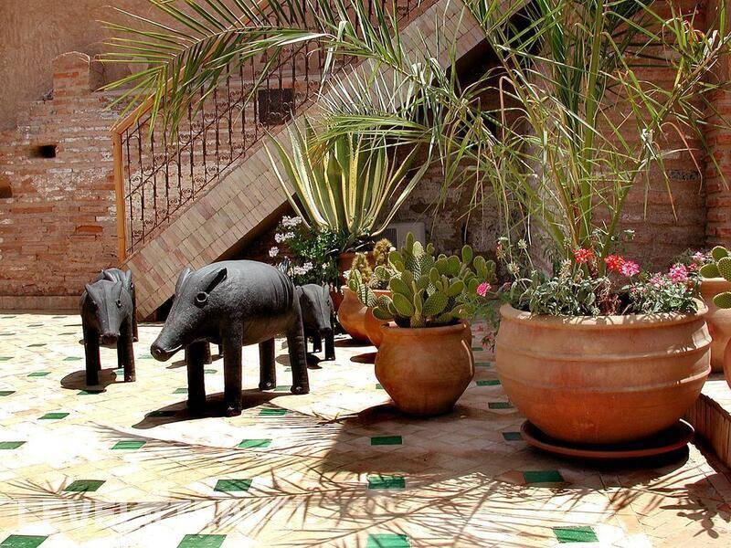 Фотография Riad Aladdin