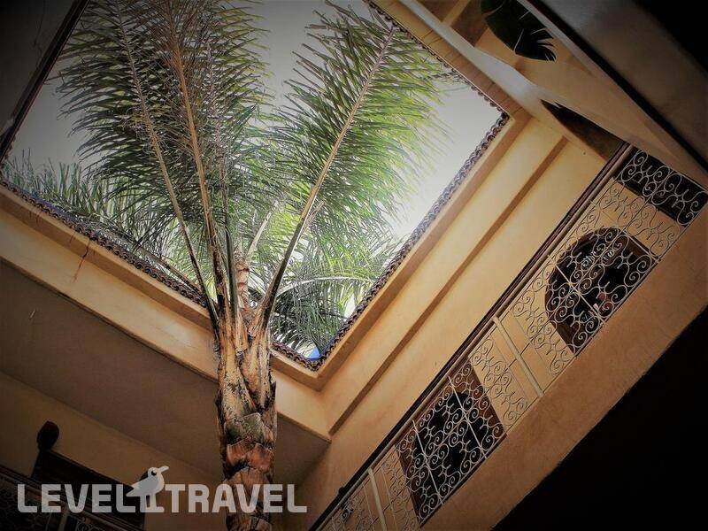 Фотография Riad Alamine