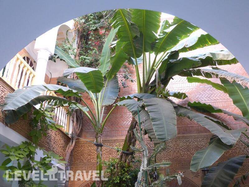 Фотография Riad Habib