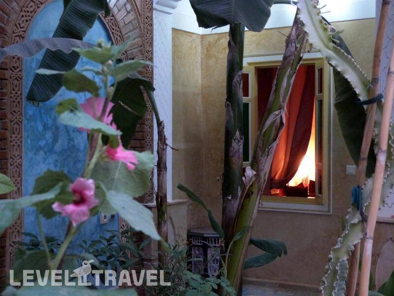 Фотография Riad Habib