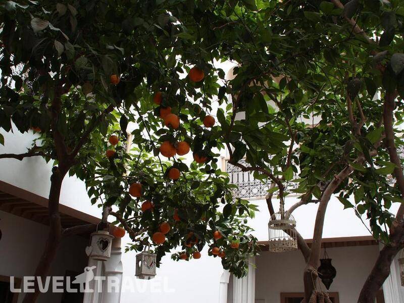 Фотография Riad Les Orangers D'Alilia