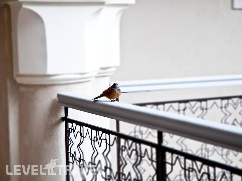 Фотография Riad Nashira & Spa