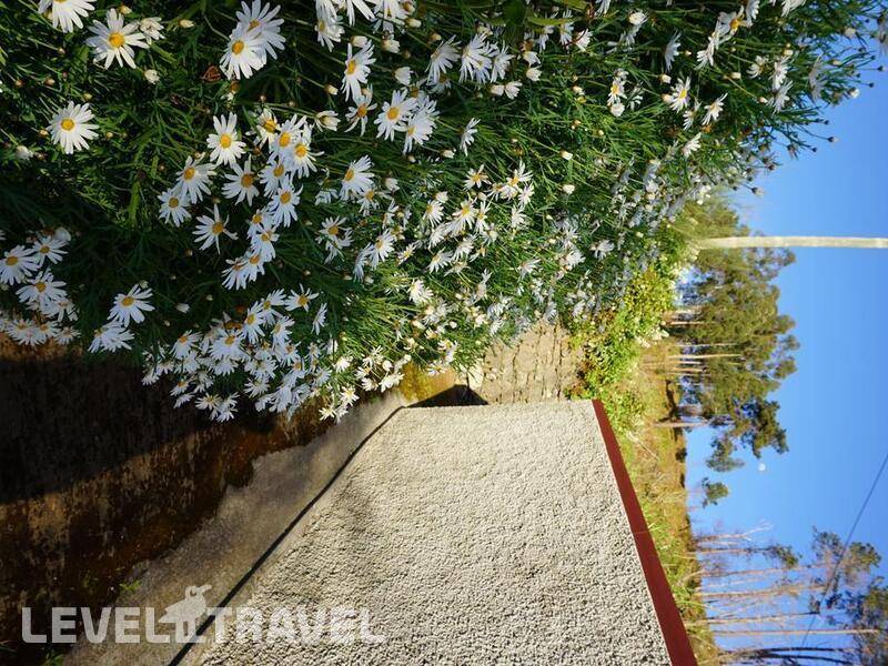 Фотография Casa Do Caminho Verde