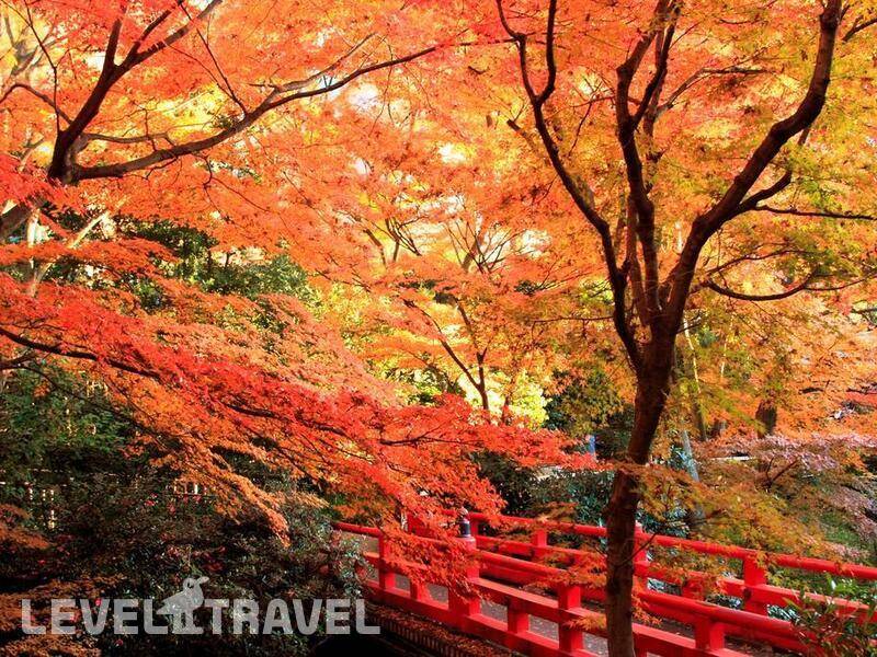 Фотография Chinzanso Tokyo