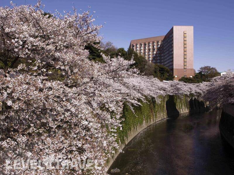 Фотография Chinzanso Tokyo