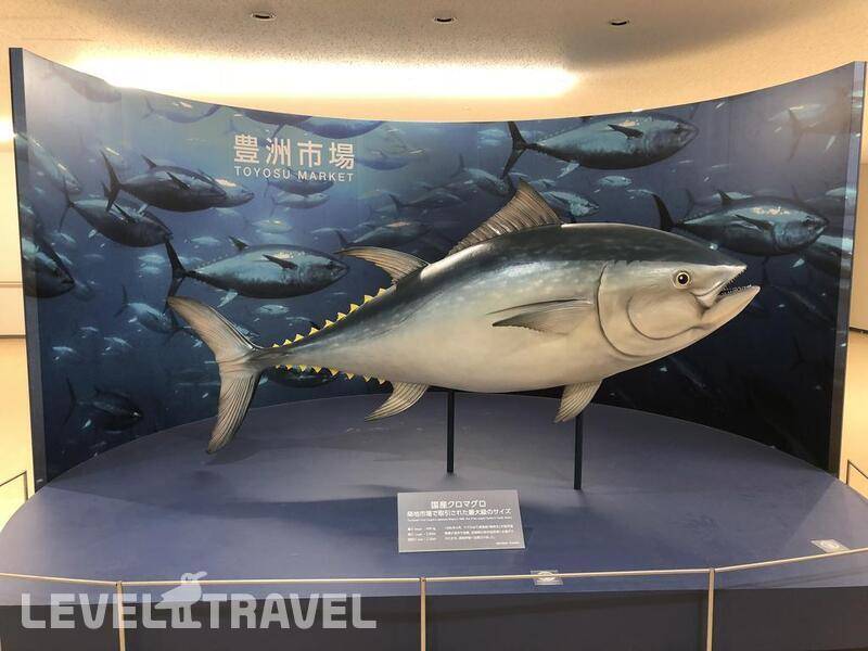 Фотография Tokyo Bay Ariake Washington