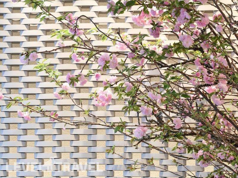 Фотография Sakura Suite Osaka Juso