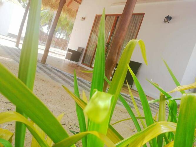 Seth Dev Lagoon Chalets