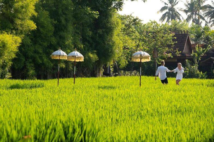 Alaya Resort Ubud