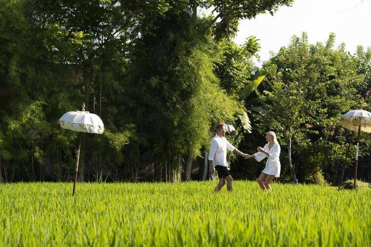 Alaya Resort Ubud