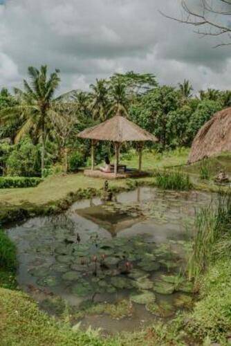 Desa Visesa Ubud