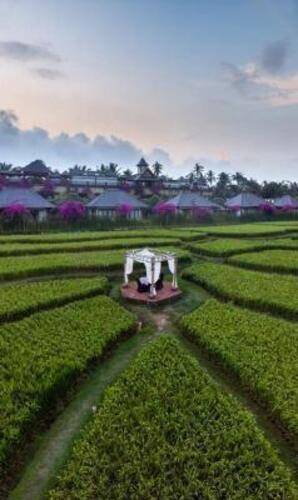 Desa Visesa Ubud
