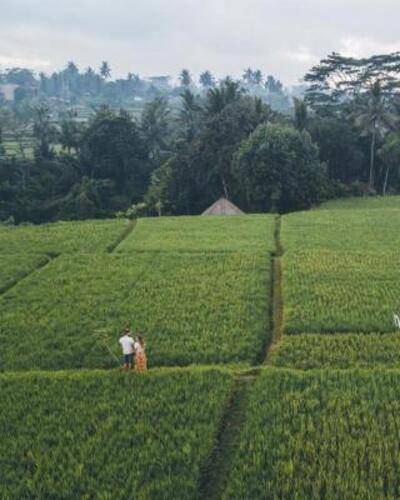 Desa Visesa Ubud
