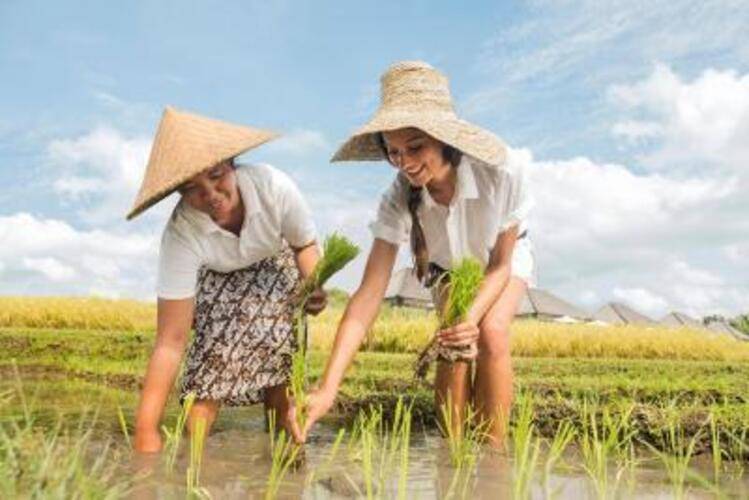 Desa Visesa Ubud