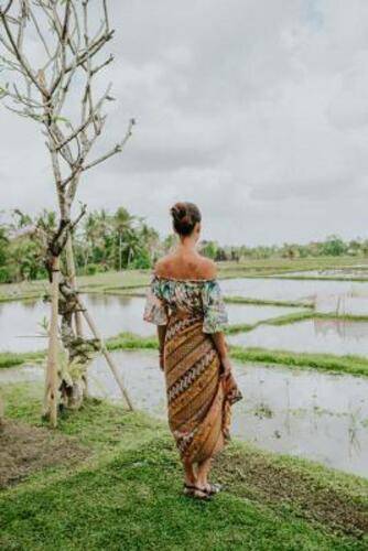 Desa Visesa Ubud