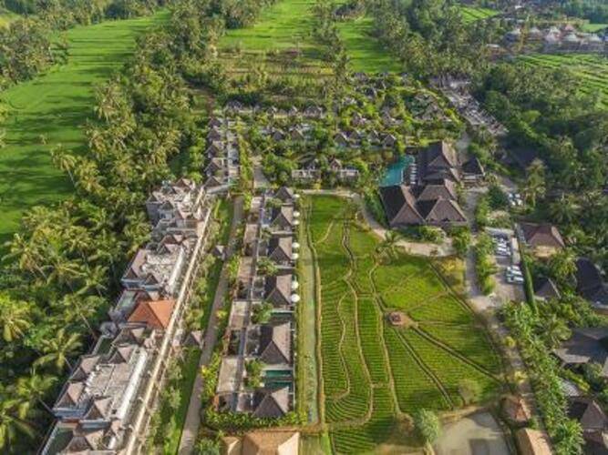 Desa Visesa Ubud