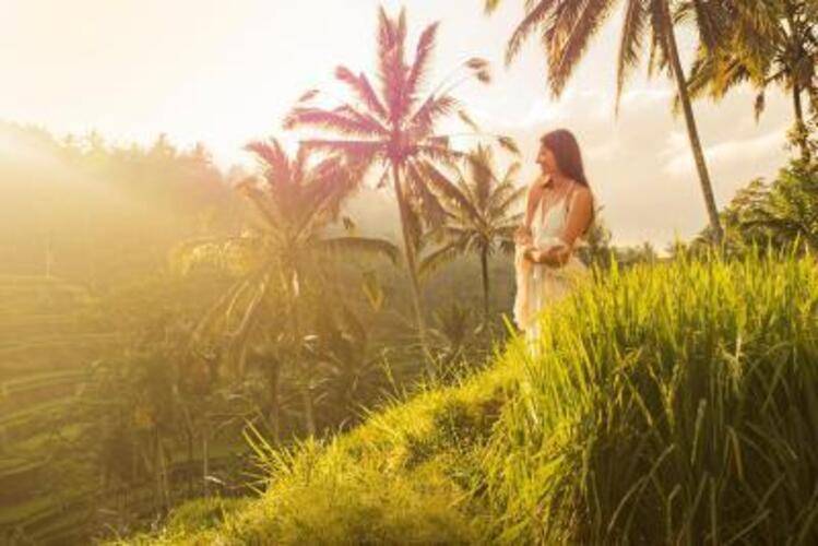 Desa Visesa Ubud
