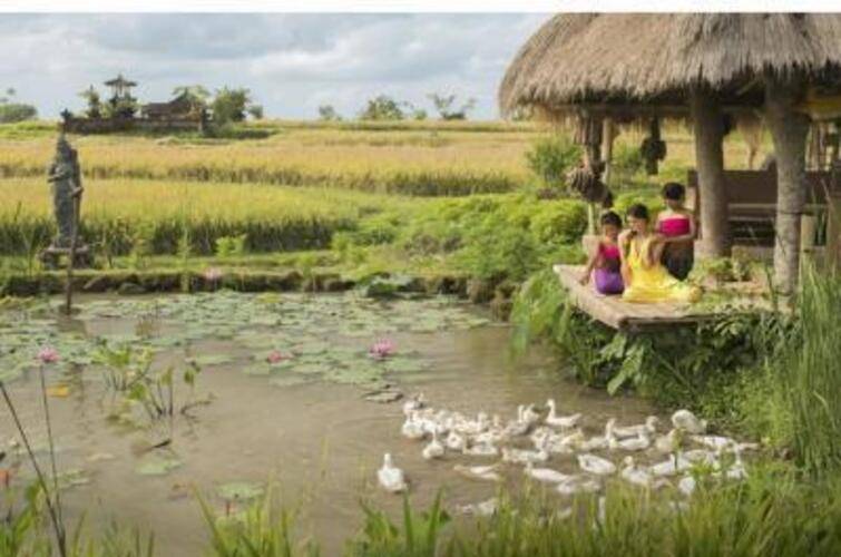 Desa Visesa Ubud