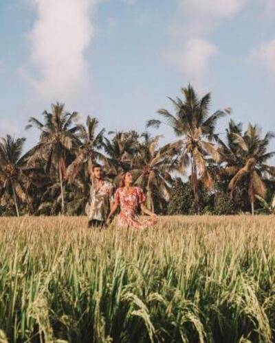 Desa Visesa Ubud