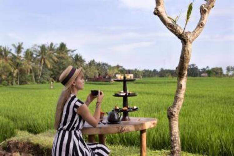 Desa Visesa Ubud