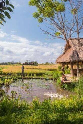 Desa Visesa Ubud