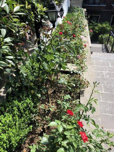 Garden House Istanbul