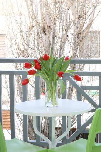 Apollon Hotel Apartments