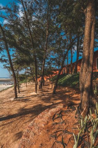Regenta Place Mandrem Beach Resort
