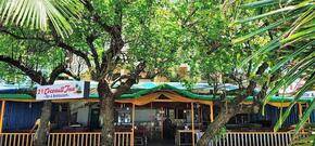 21 Coconuts Inn Arambol