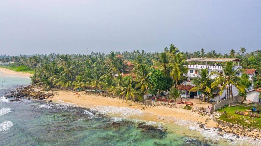 Jayanthi Surf Dream