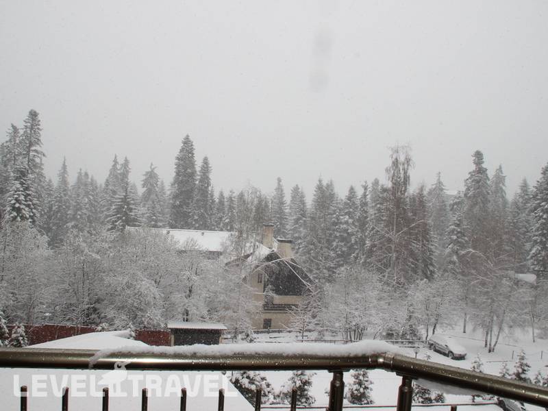 Фотография Flora Apart Apartment