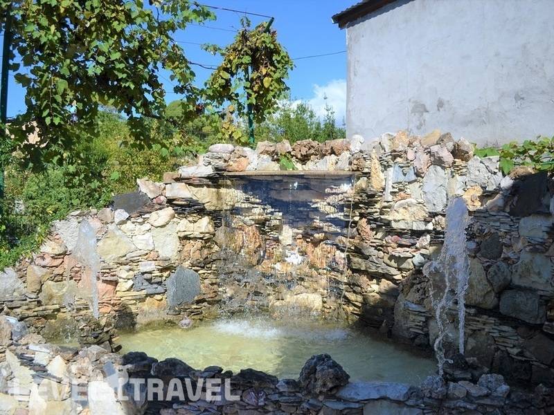 Фотография Гостевой Дом Лоза