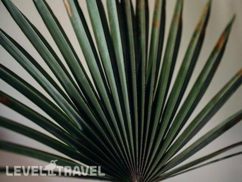 Фотография M Resort Phu Quoc