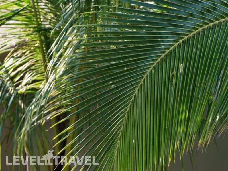 Фотография M Resort Phu Quoc