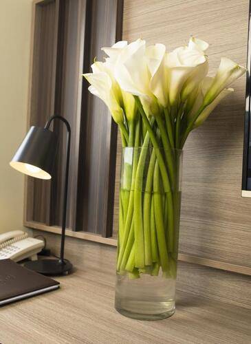 Areca Hotel Nha Trang