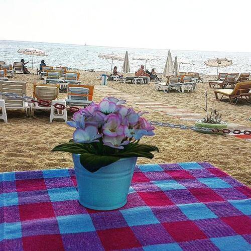 Miss Cleopatra Hotel (Ex. Ozcan Hotel)