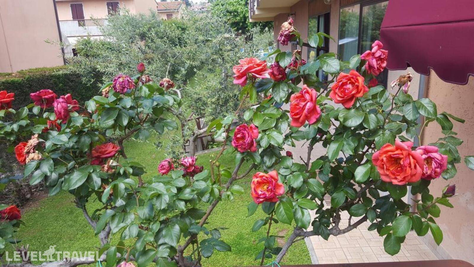 Изображение отеля 25