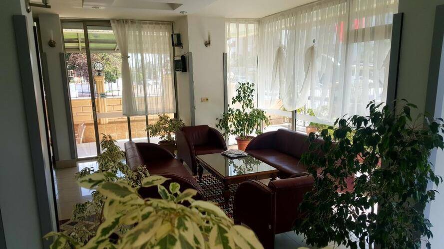 Lemon Hotel