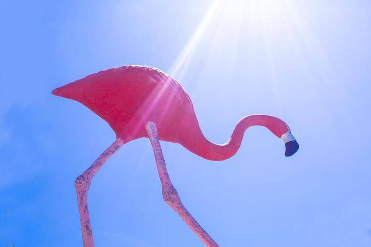 Flamingo Residence